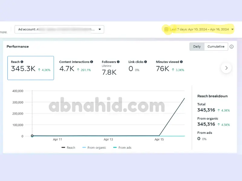seo-service 